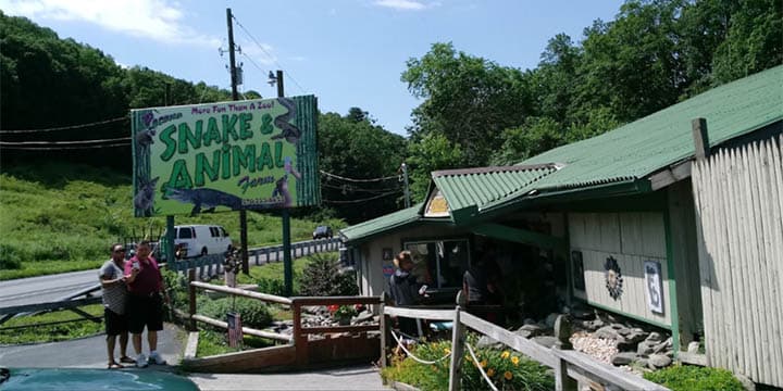 Pocono Snake & Animal Farm